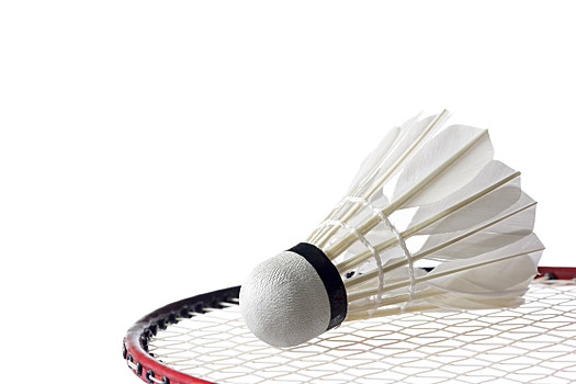 [CBA]常规赛10月12日：辽宁VS浙江 弗格集锦.